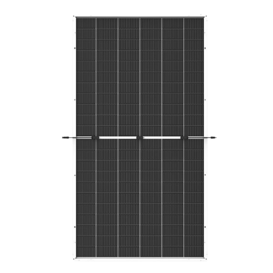 Сонячна панель Trina Solar TSM-NEG21C.20 710W Bifacial, 710 Вт - Image 2