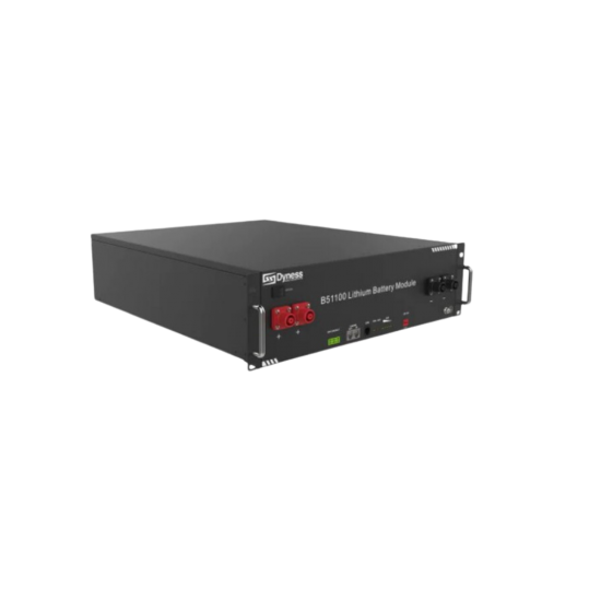 Акумуляторна батарея Dyness B51100 — изображение 2